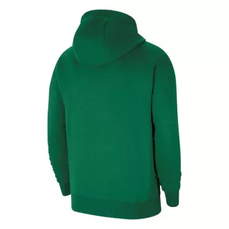 Nike sweatshirt with green hood