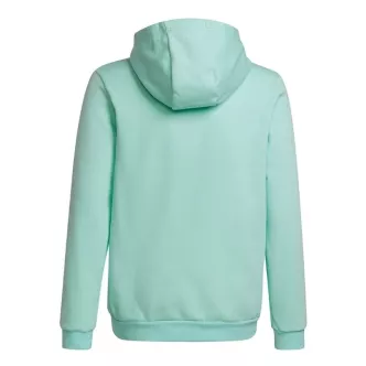 felpa cappuccio bambino adidas verde acqua