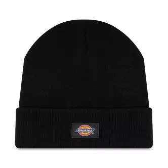 Cappello Dickies Gibsland nero