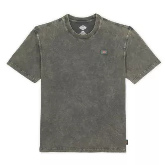 Dickies Newington Green T-shirt