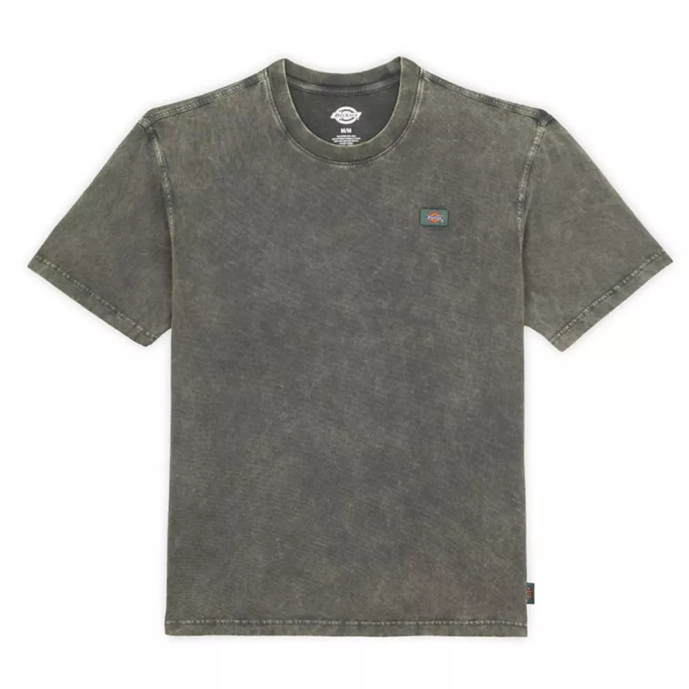 Dickies Newington Green T-shirt