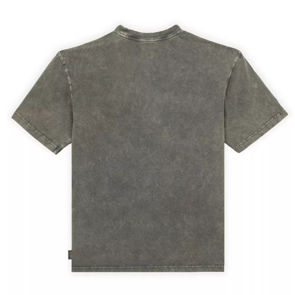 Dickies Newington Green T-shirt