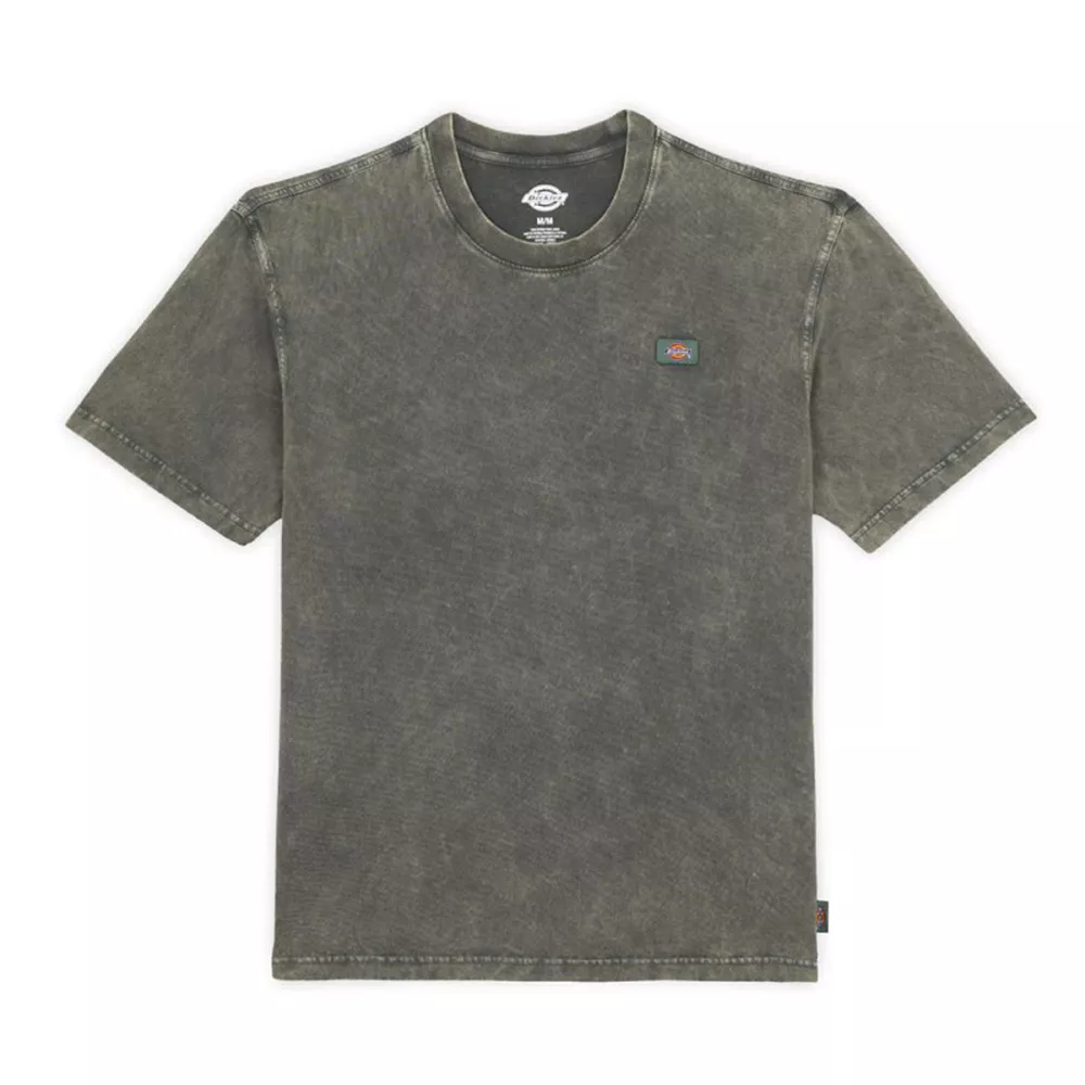 Dickies Newington Green T-shirt