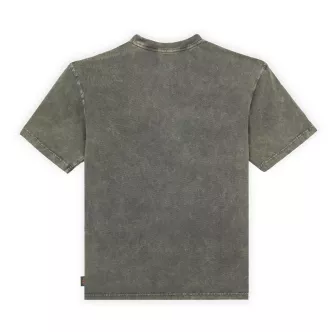 Dickies Newington Green T-shirt