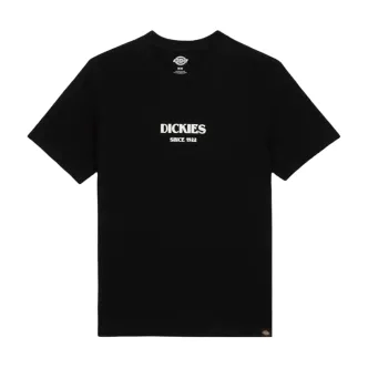 T-shirt Dickies Max Meadows nera