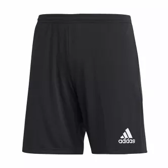 TUTA TRAINING ROYAL ADIDAS